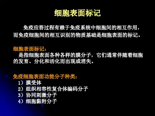 医学免疫学第六版7白细胞分化抗原和黏附分子PPT课件