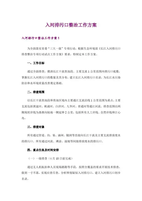 入河排污口整治工作方案