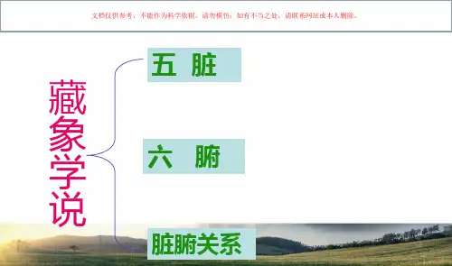 中医基础理论脏腑学说课件