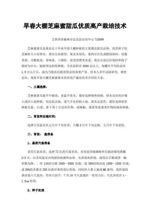 早春大棚芝麻蜜甜瓜优质高产栽培技术