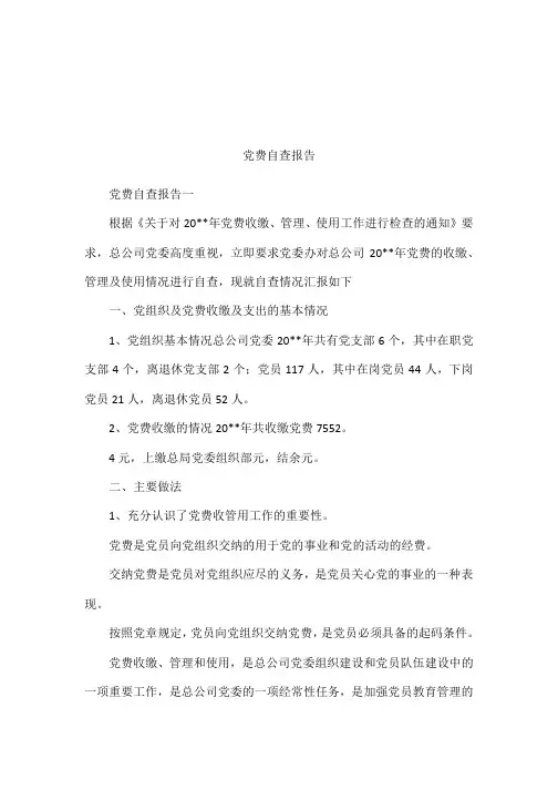 党费自查报告
