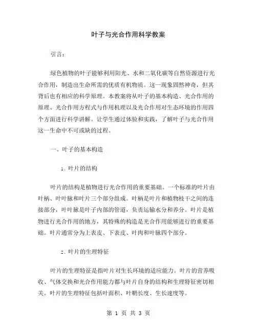 叶子与光合作用科学教案