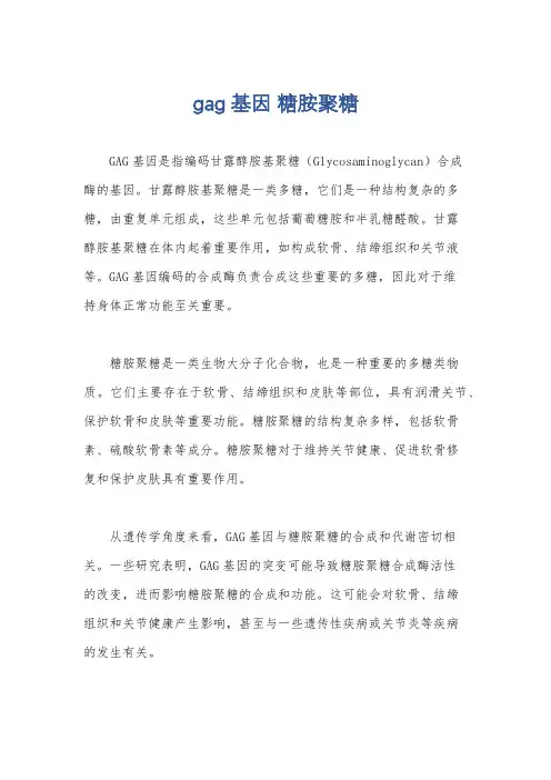 gag基因 糖胺聚糖