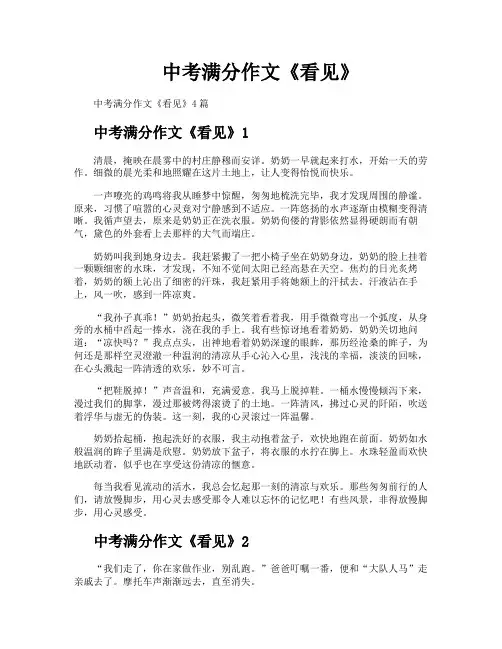 中考满分作文《看见》