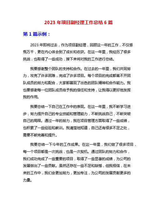 2023年项目副经理工作总结6篇