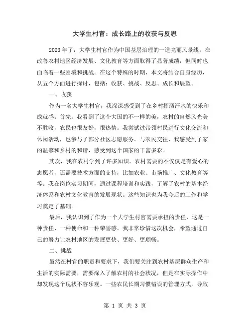 大学生村官:成长路上的收获与反思
