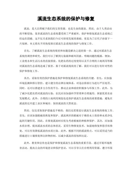 溪流生态系统的保护与修复