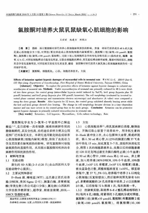 氯胺酮对培养大鼠乳鼠缺氧心肌细胞的影响