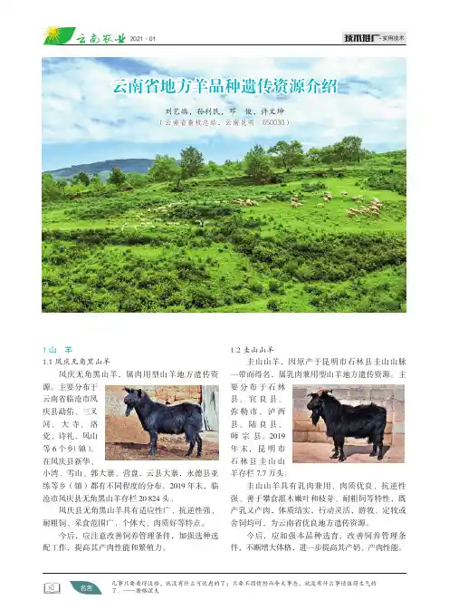 云南省地方羊品种遗传资源介绍