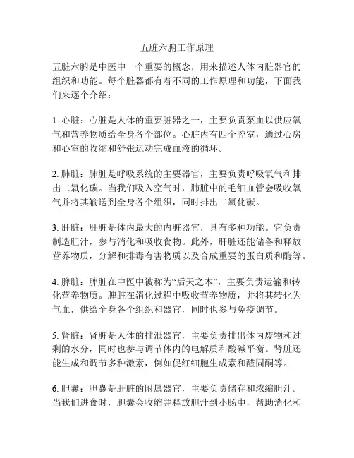 五脏六腑工作原理