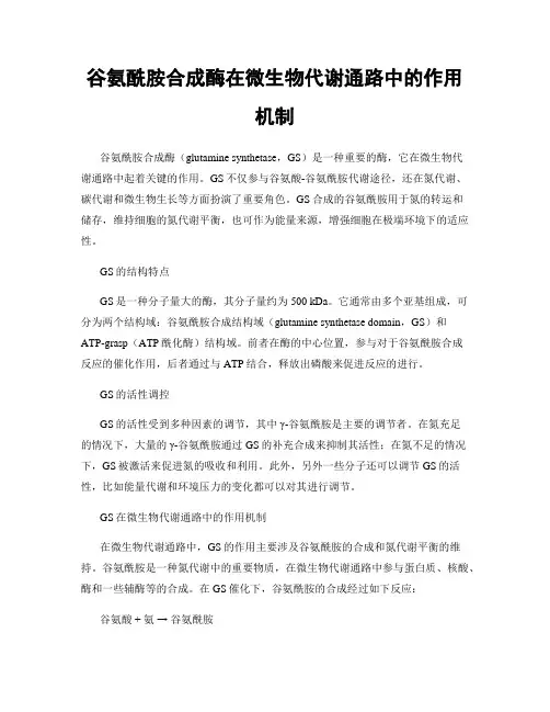 谷氨酰胺合成酶在微生物代谢通路中的作用机制