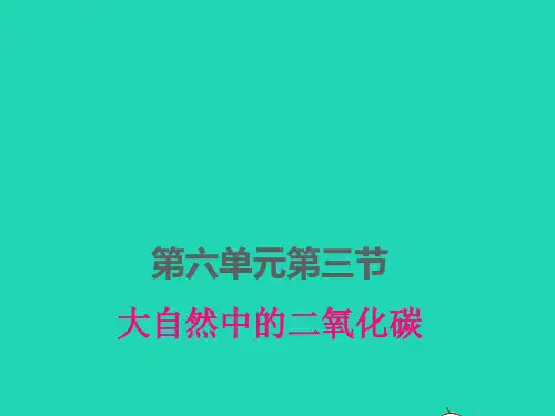 九年级化学上册第六单元燃烧与燃料：大自然中的二氧化碳pptx课件鲁教版