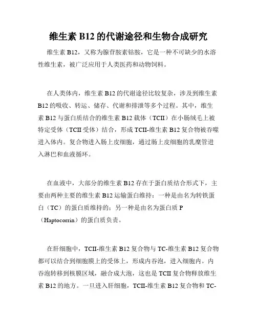 维生素B12的代谢途径和生物合成研究
