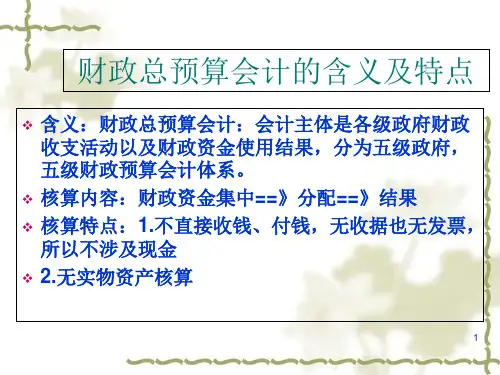 财政总预算会计的概念