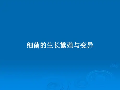 细菌的生长繁殖与变异 PPT教案