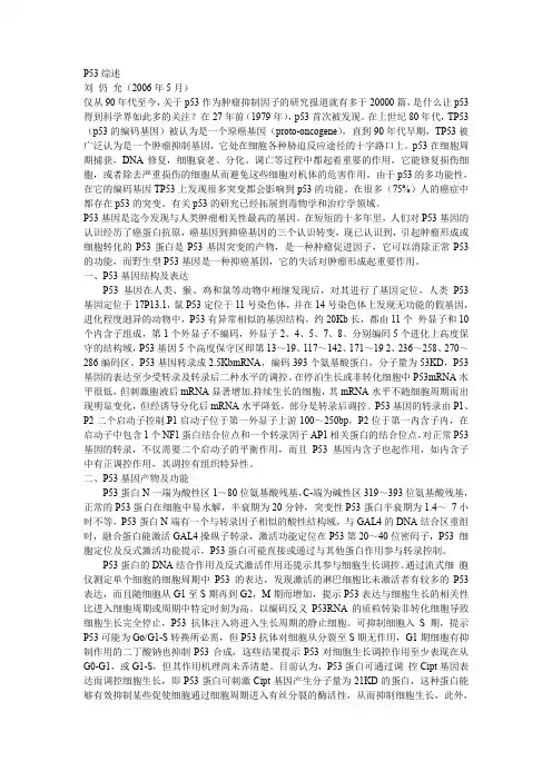 P53综述