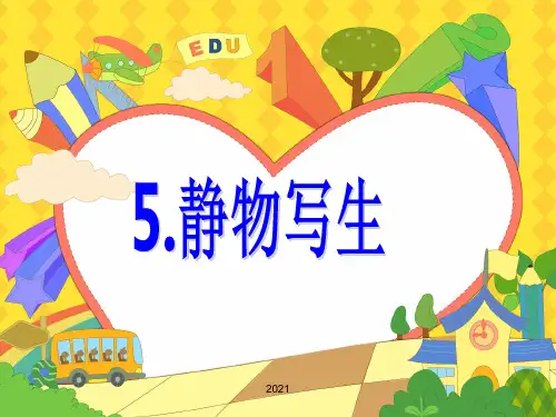 5.线描静物PPT课件