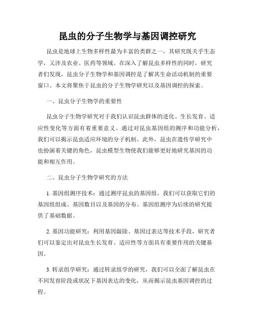 昆虫的分子生物学与基因调控研究