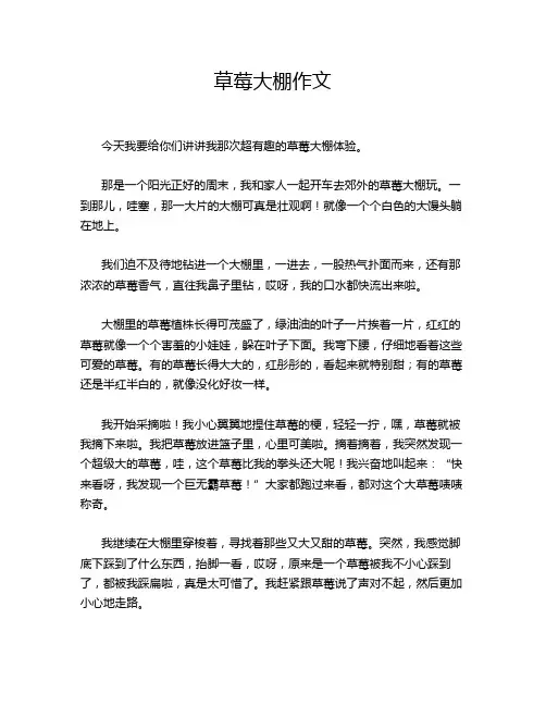 草莓大棚作文