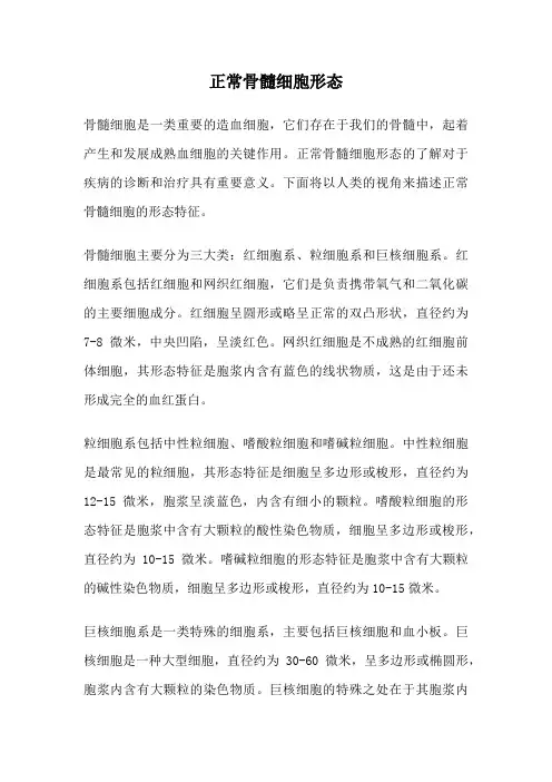 正常骨髓细胞形态