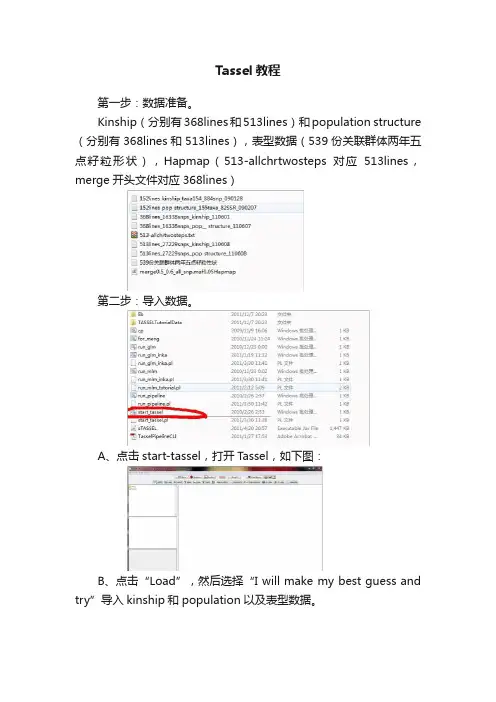 Tassel教程