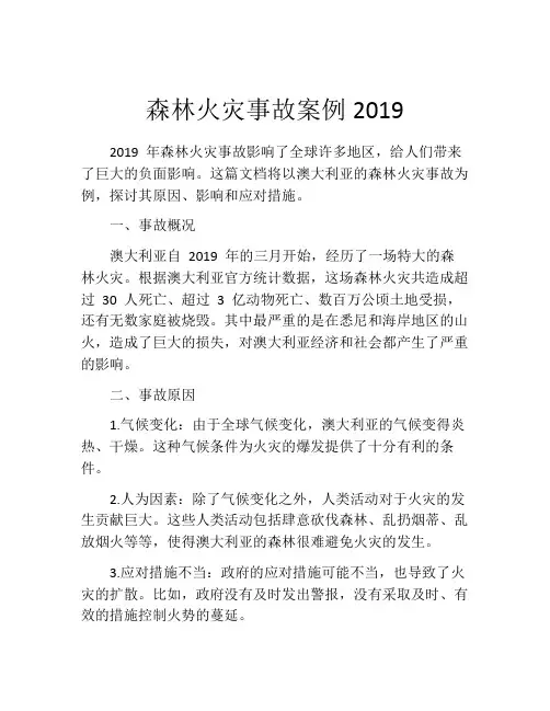 森林火灾事故案例2019
