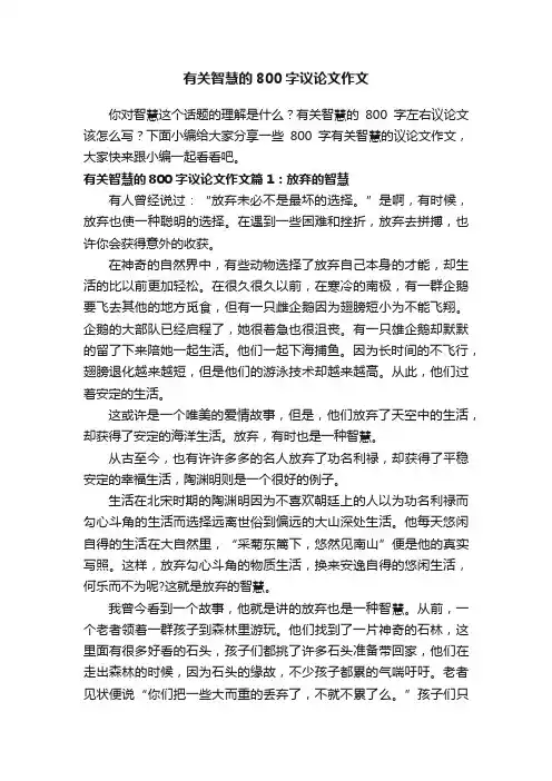 有关智慧的800字议论文作文