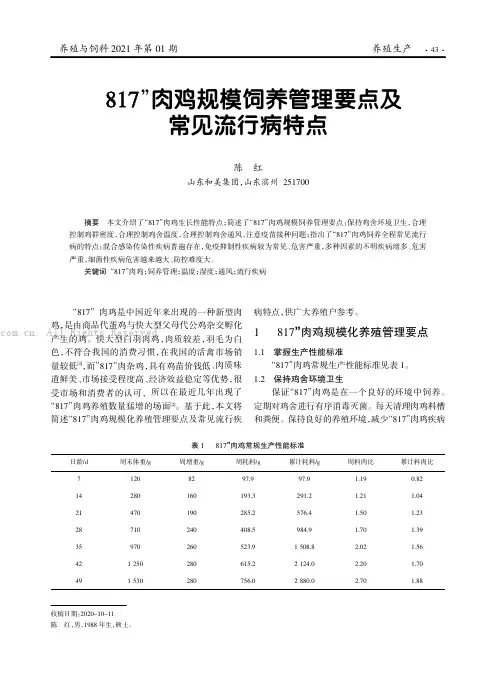 “817”肉鸡规模饲养管理要点及常见流行病特点
