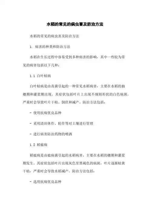 水稻的常见的病虫害及防治方法