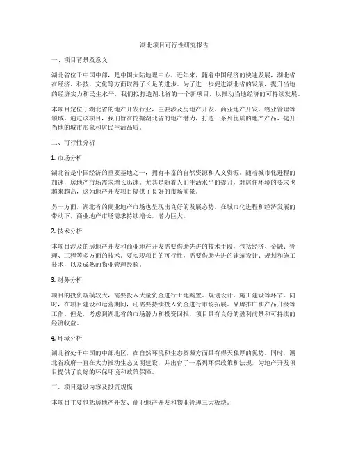 湖北项目可行性研究报告