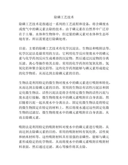 除磷工艺技术