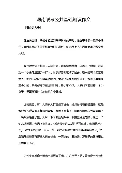 河南联考公共基础知识作文