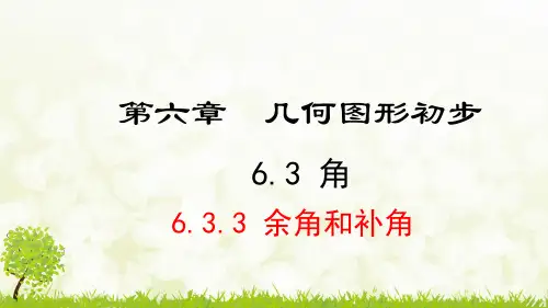 人教版七年级上册《6.3.3 余角和补角》课件ppt
