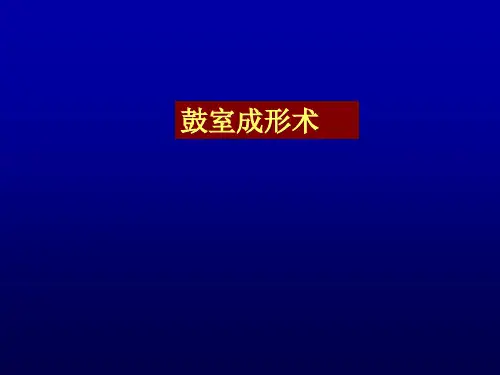 鼓室成形术韩东一精品PPT课件