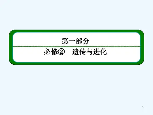 生物的变异类型-PPT课件
