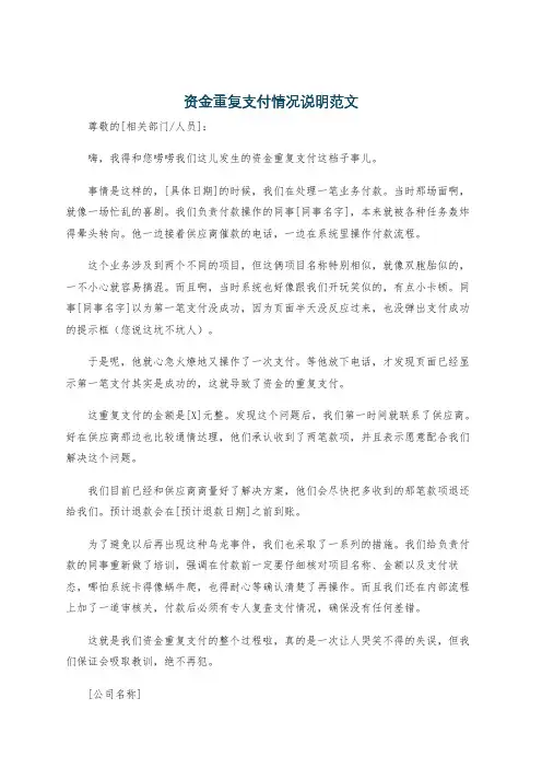 资金重复支付情况说明范文