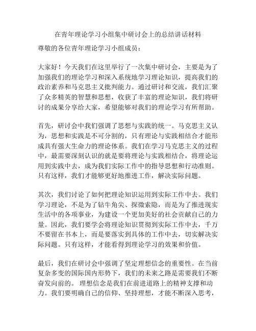 在青年理论学习小组集中研讨会上的总结讲话材料