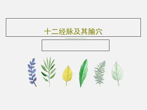 十二经脉及其腧穴PPT53页