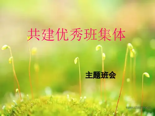 主题班会共创优秀班集体PPT课件
