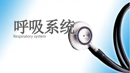 抗生素 糖皮质激素