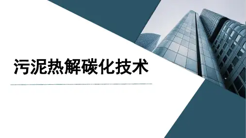 环保污泥热解碳化简介(新)