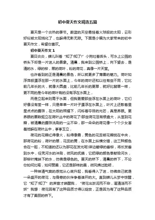 初中夏天作文精选五篇