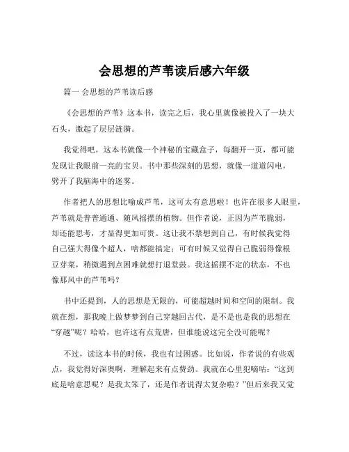 会思想的芦苇读后感六年级