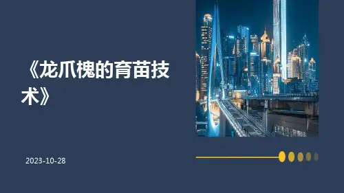 龙爪槐的育苗技术
