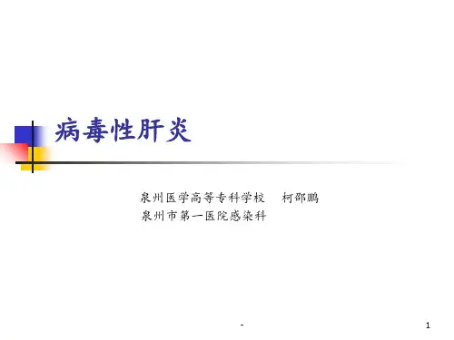病毒性肝炎PPT课件