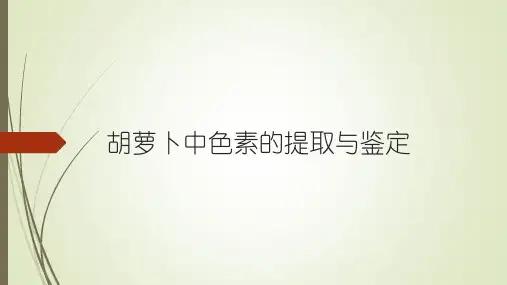 胡萝卜中色素的提取与鉴定