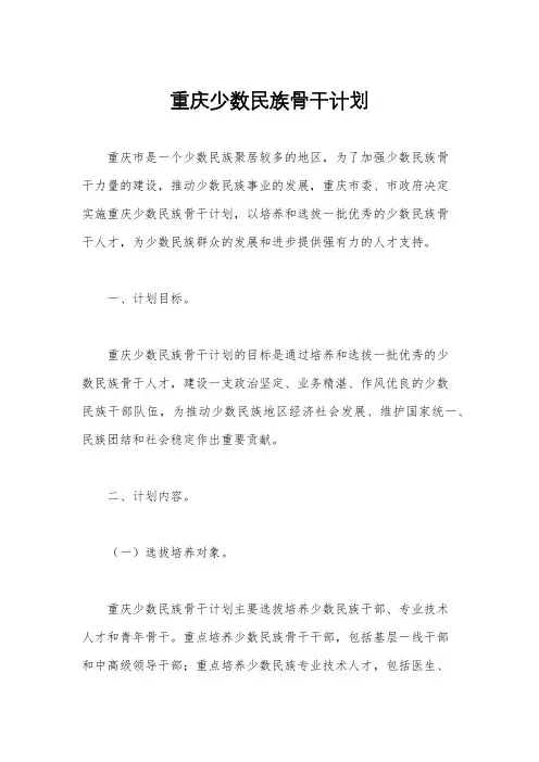 重庆少数民族骨干计划