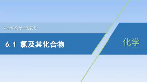 (新)人教版《氯及其化合物》优秀课件PPT1