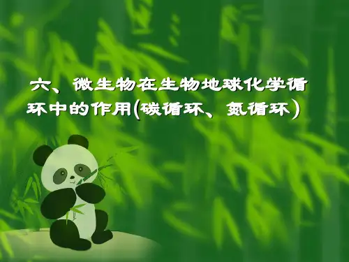 生态学--微生物在生物地球化学循环中的作用