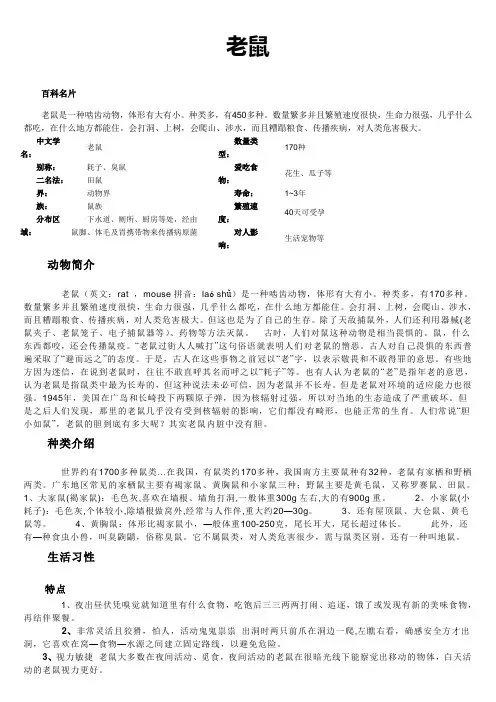 老鼠